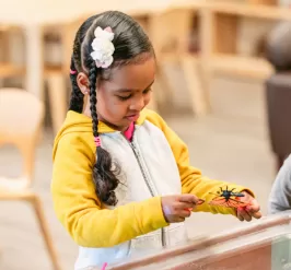 Child playing with a toy butterfly