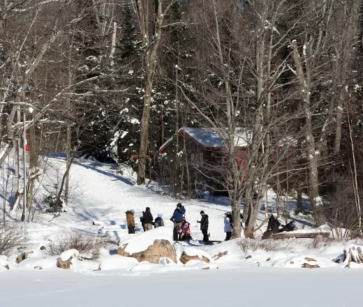 Group of youth in snow woods along shore